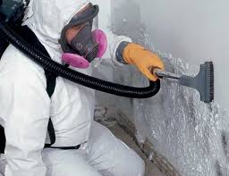 Biohazard Mold Removal in Morehead City, NC